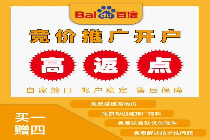SEM运营推广策略案例分析